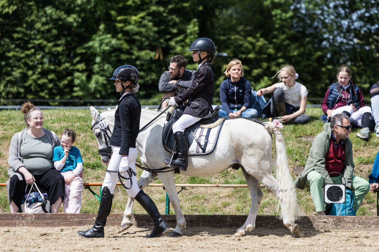 Bild 5 - Pony Akademie Turnier